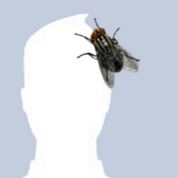 svarnoff