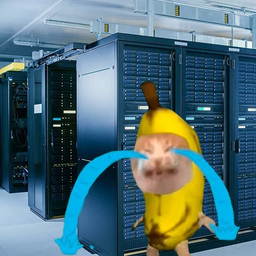 raBHoeD