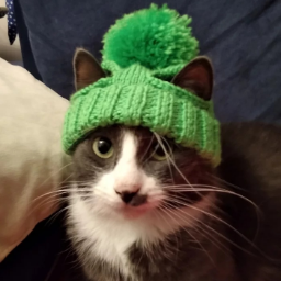 imoloko