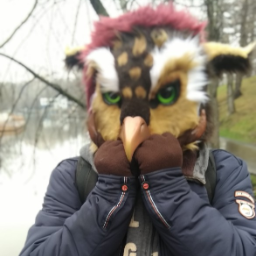 EagleOwlTRUE