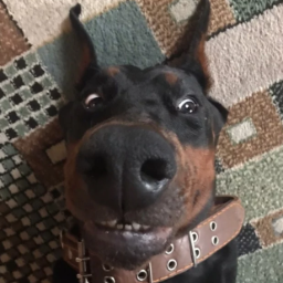 TPECKOED