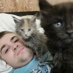 Mnogobloh