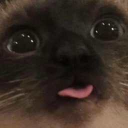 FizzleLove