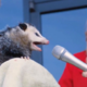   UsernameOpossum