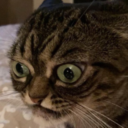 Butuzik