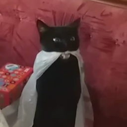 MrSmoker
