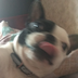 evgent3w2