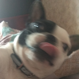 evgent3w2