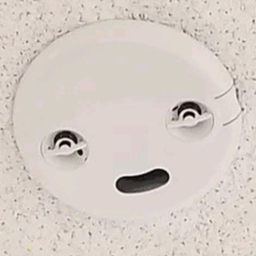 Guroncheg