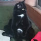 ������ ������������ andryxa31