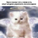 ������ ������������ Teemok