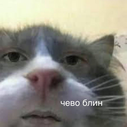 DjonKapa