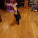 ����� ����� ������ ���� �����������