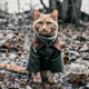 ������ ������������ finnik13