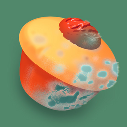 WaffleBisc