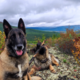 ������ ������������ berezamen