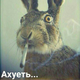 ������ ������������ Valeronuz