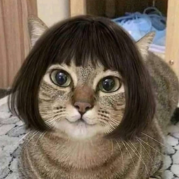 tevechka