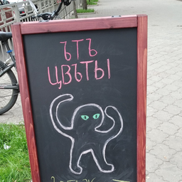 troll56
