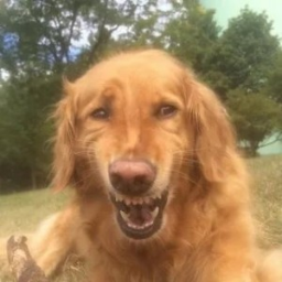 chtotakoeto