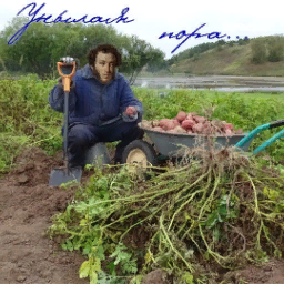dachnik47