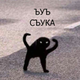 Аватар пользователя Banjo.bsa
