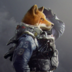 CheshFox
