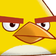 ������ ������������ ChuckBirddis