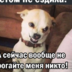 bolwoi.stan