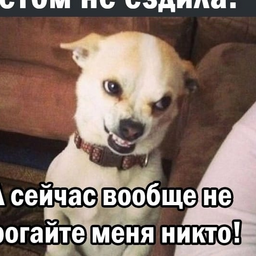 bolwoi.stan