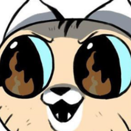 ddskaykt