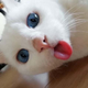 ������ ������������ TYC9I