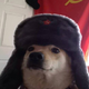 ������ ������������ Neztezy1