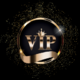 ������ ������������ vipp