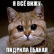 ������ ������������ SPLIIT