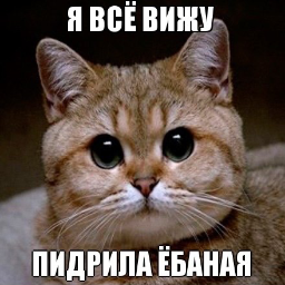 SPLIIT