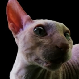 abrekdub