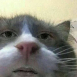 Vitl0