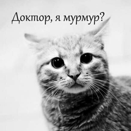 Aleks18rus