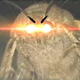   FkN.MoTh