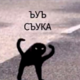 Аватар пользователя Oruru
