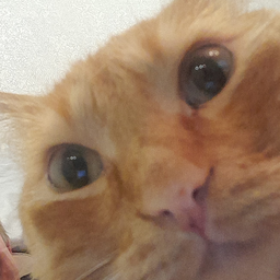 Maxl4
