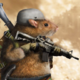 Аватар пользователя InstructorFmNATO