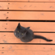 ������ ������������ MaruMur
