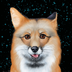 ChivasFoxx