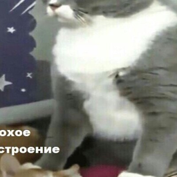 Trezwik