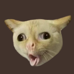Skotchlokoff