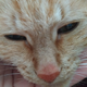 ������ ������������ Balu102