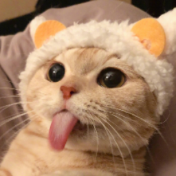 smokycatt