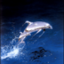 DolphinPS2
